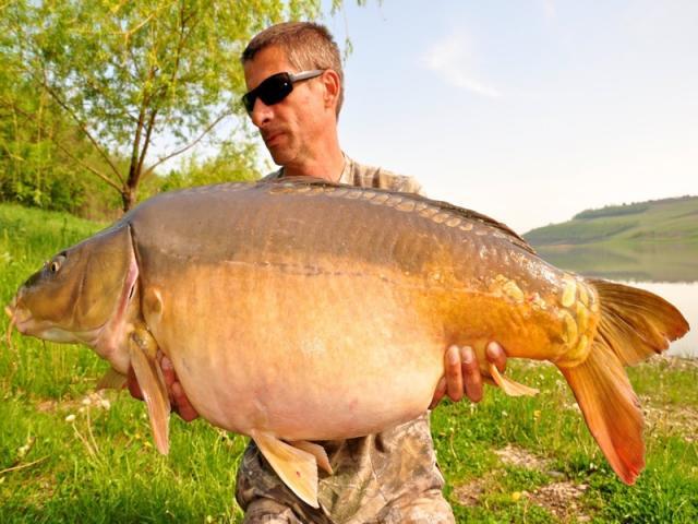 Succesul boiliesului Select Baits Belachan